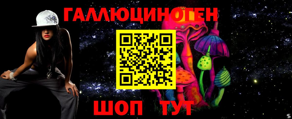 Дубна  Псилоцибиновые грибы MAGIC MUSHROOMS  Вход с VPN 